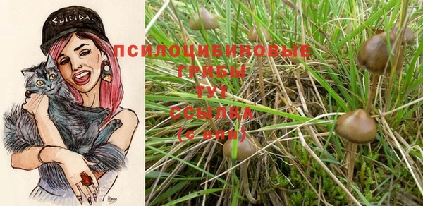 стаф Навашино