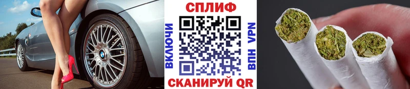 МАРИХУАНА сатива  Купить закладки  Братск 